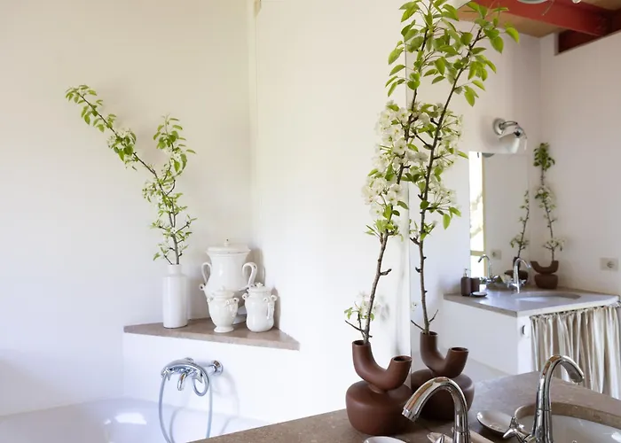 Charming Pool In The Siena Countryside וילה *